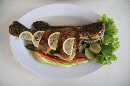 dieta mediterránea