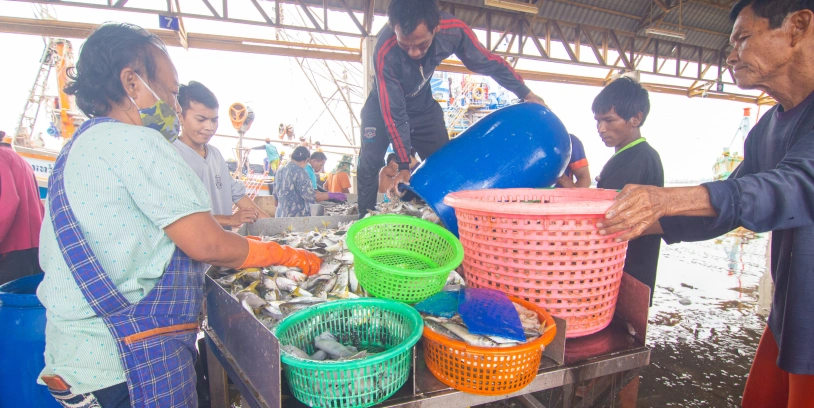 mariscos