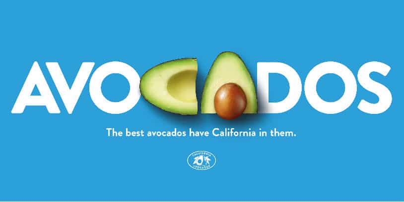 California avocados 1 - aguacates de California