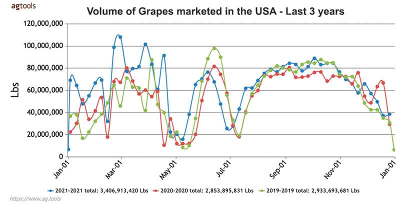 volume-grapes-marketed-usa