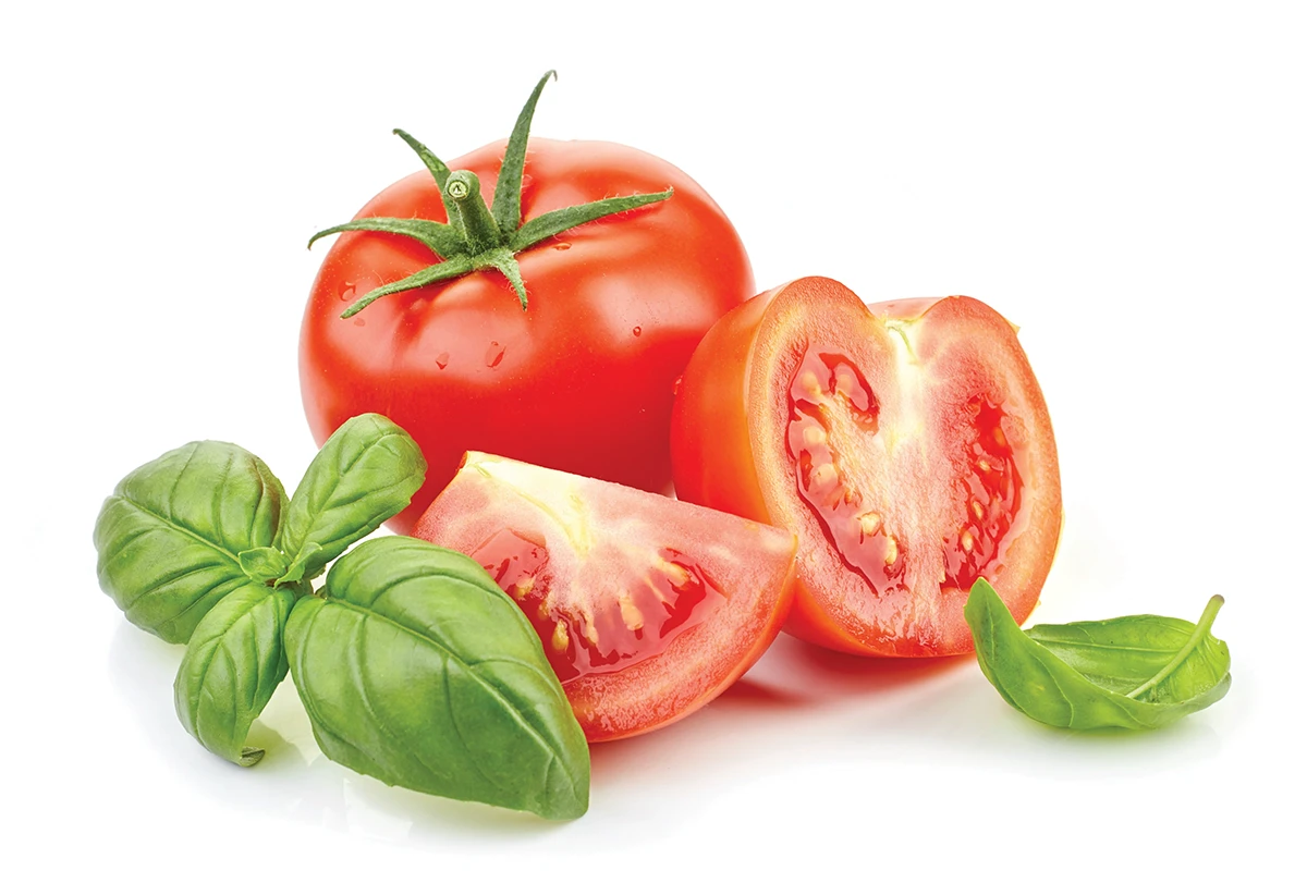 jitomate-tomato