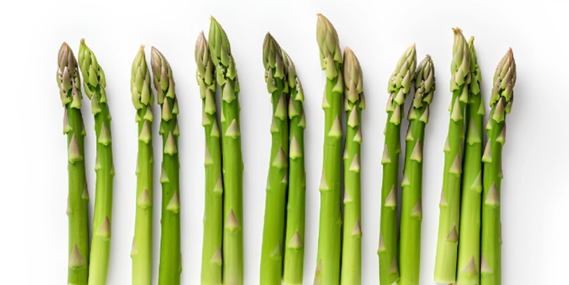 asparagus-espárragos