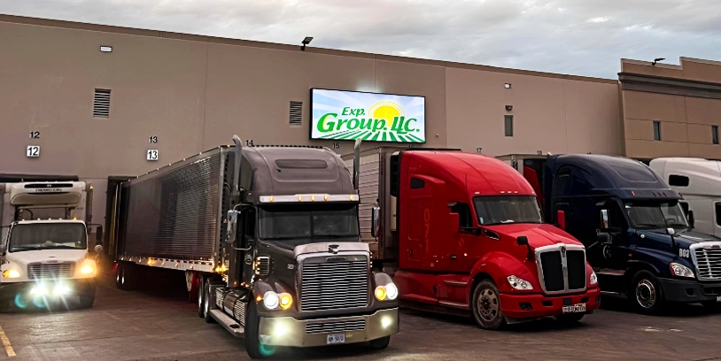 Exp. Group LLC