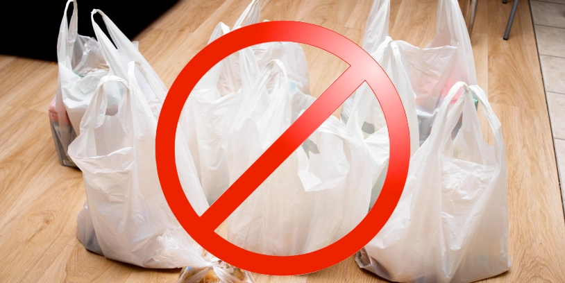 plastic bags - bolsas de plástico