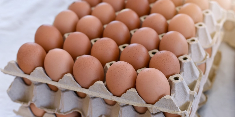 NGA-shortage-egg-escasez-huevo