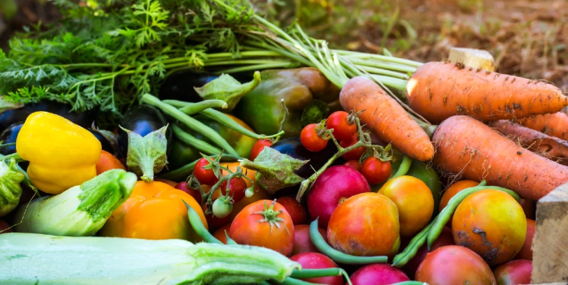 Organic-Market-Sales-Ventas-Mercado-Orgánico