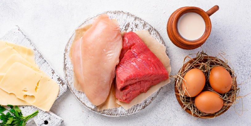 protein - proteínas
