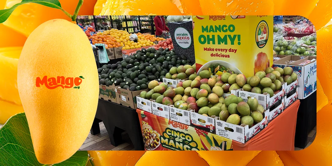 mango-MNB-retail-estrategia-minorista