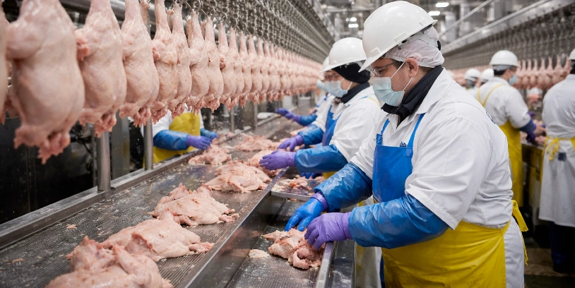 USDA line speed rule - velocidad en líneas de producción