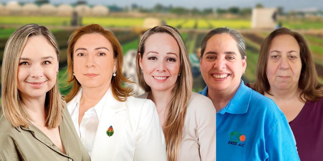 women-produce-female-industry