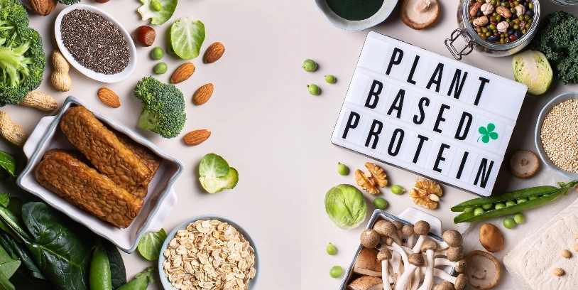 plant based protein-proteina plantas