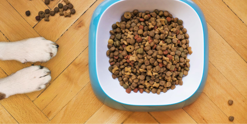 pet food trends in 2026