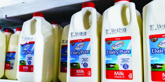dairy industry - lácteos