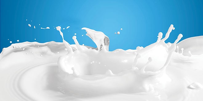 Industria láctea - dairy industry