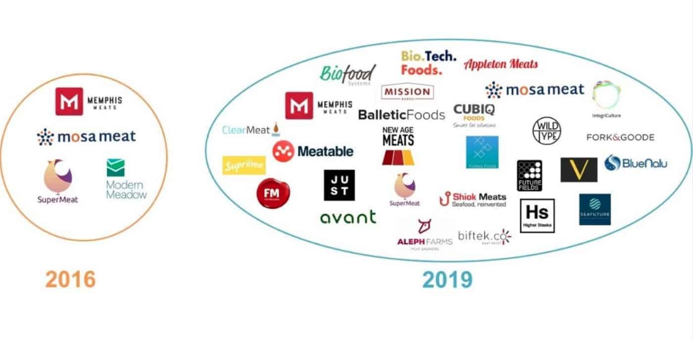 The Future of The PlantBased Meat Market Explained Abasto